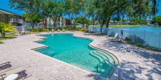 Ground Floor 1 Bedroom 1 Bath for Rent in Brandon, FL Ground Floor 1 Bedroom 1 Bath for Rent in Brandon, FL Gallery 1