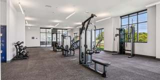 Hughes House Gallery 19