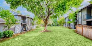 Michael Manor Apartments Gallery 21