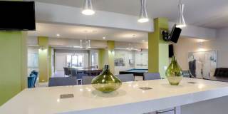 4200 Paradise Gallery 23