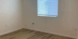 Pantano Vista Gallery 37