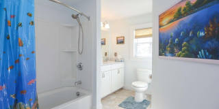 7 Williams Street Gallery 20