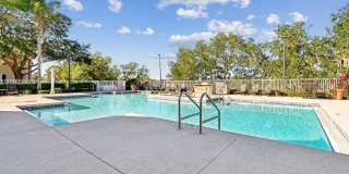 Vista Lake Ned Gallery 59