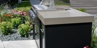 Arris Blaine Gallery 19