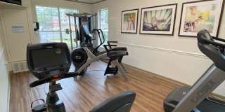 The Wyndham Gallery 7