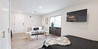 Trellis Herndon Gallery 3