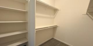 244 Mallard Drive Gallery 4
