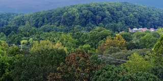 Avalon Hunt Valley and Hunt Valley West Gallery 71