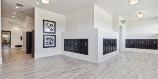 LynnCora Gallery 13