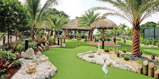 306 Newport T Gallery 17