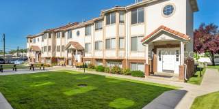 528 N 720 E Gallery 2