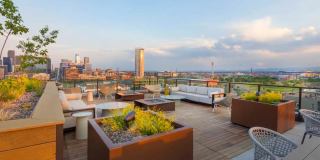 Modera LoHi Gallery 17