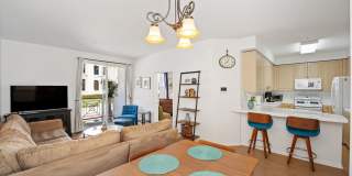 Discover Ventura's Downtown and Coastal Lifestyle Gallery 10