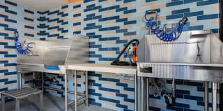 Avalon Willow Glen Avalon Willow Glen Gallery 21