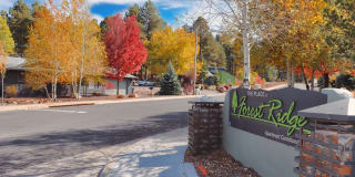 The Place At Forest Ridge Apartments The Place At Forest Ridge Apartments Gallery 1