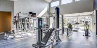 Pines at Castle Rock Gallery 11