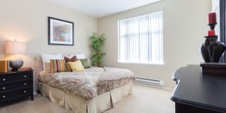 Woodland Meadow Gallery 9