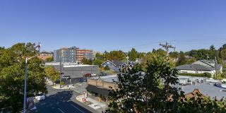 Novo Novo Gallery 28