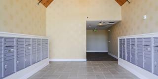 Student Housing - The Lookout on Cragmor Gallery 9