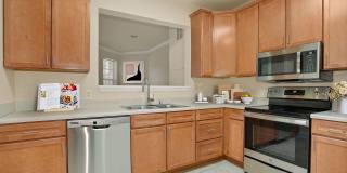 The Marque Gallery 3