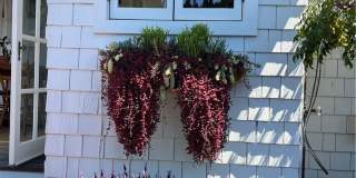 1262 Catalina Gallery 5