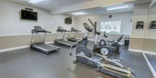 Allandale Falls Gallery 22