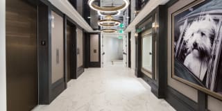 The Huntley Luxury Apartments Gallery 3