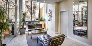 Elan Luxo II Gallery 17