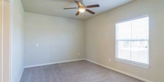 Century Palm Bluff Gallery 24