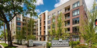 Avalon Great Neck Gallery 35