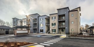 The McKenzie Gallery 21