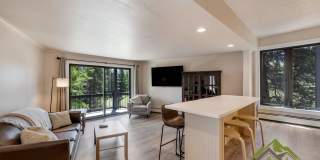 Fully Remodeled Gold Camp 2 Bed/1Bath Gallery 1