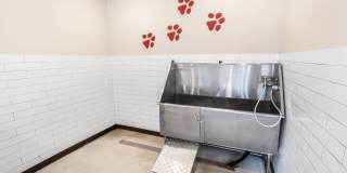 The Dylan at Grayson Gallery 45