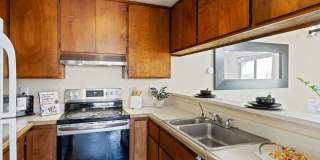 1227 Coyote Creek Ct Gallery 3