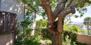 1341 Plum St Gallery 30