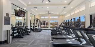 Prose Ascend Gallery 4