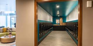 Ardence & Bloom Ardence & Bloom Gallery 22