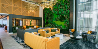 Tanager Echo Gallery 1