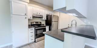 6913 Forest Meadow Gallery 1