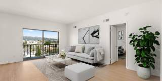 1115 South Elm Drive - 616 Gallery 1