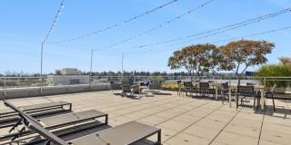 Eleanor Eleanor Gallery 5