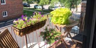 7117 West 93rd Street Gallery 5