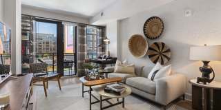 Tribeca Noma Gallery 7