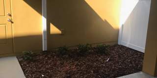 15467 Sugar Citrus Drive - Gallery 8