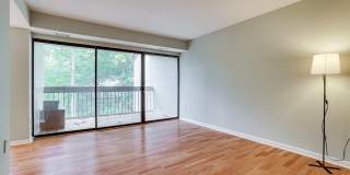2210 SPRINGWOOD Drive Gallery 9