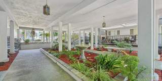 Spring Ridge on Fletcher Apartments Gallery 33