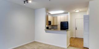 Prynne Hills Gallery 85