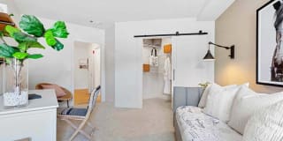 Sofi at Salem Station Gallery 9