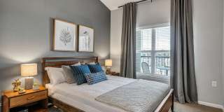 Kinsley Forest Gallery 7