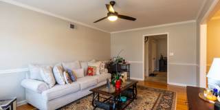 YOUR DREAM BACKYARD in Established East Memphis Gallery 5
